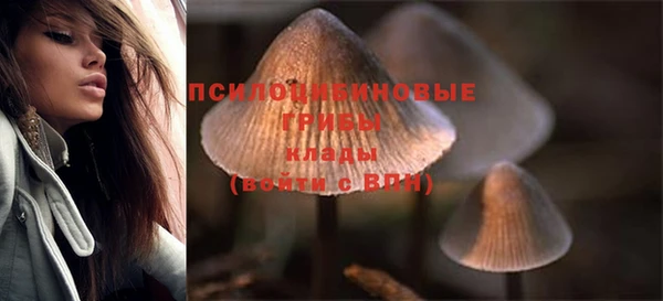 прущая мука Бородино