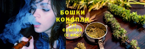 прущая мука Бородино