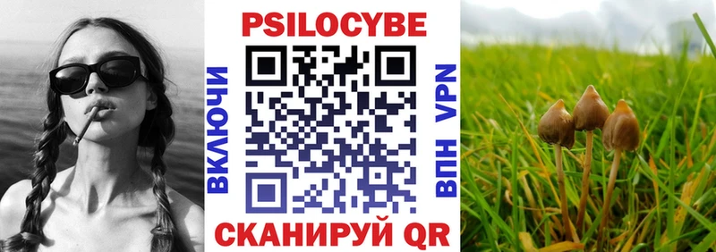 Галлюциногенные грибы MAGIC MUSHROOMS  Назрань 